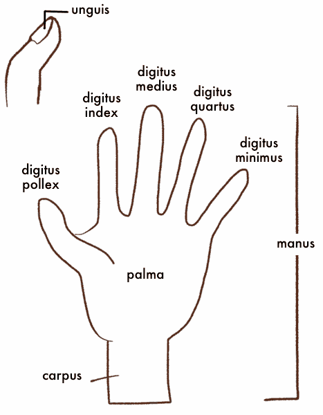 図で学ぼう１：手